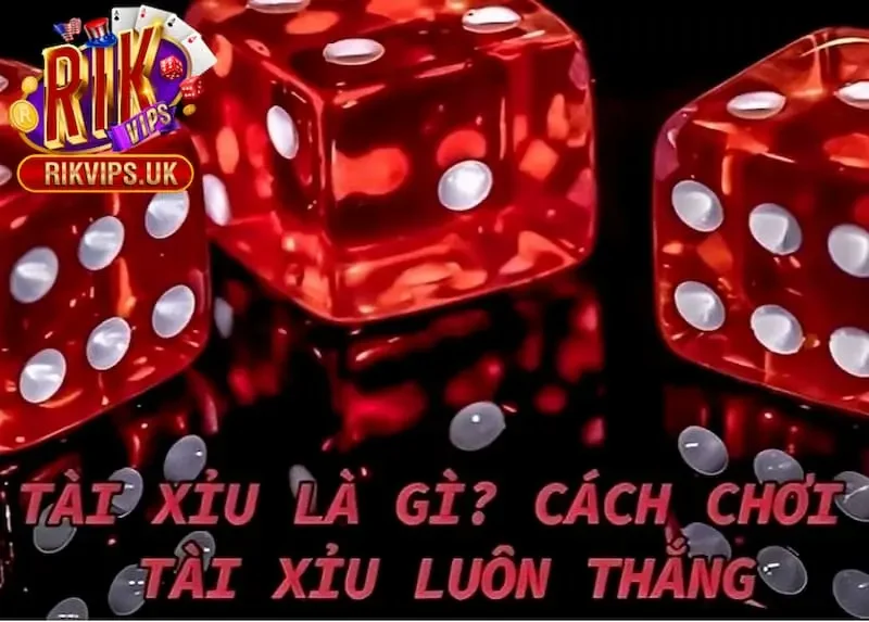 Cách Chơi Tài Xỉu Luôn Thắng