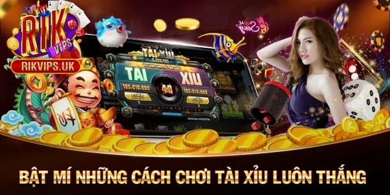 Cách chơi tài xỉu luôn thắng